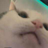 Memiels